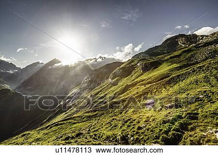 Sun rising over grassy rural hillside View Large Photo Image Stock Image - Sun rising over grassy rural hillside. Fotosearch