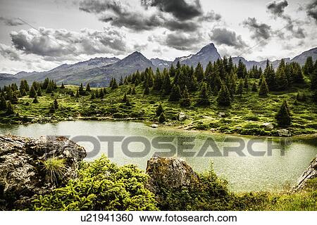 Stock Image - Sun rising over grassy rural hillside. Fotosearch