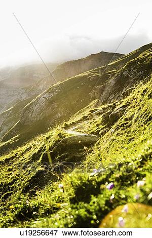Stock Photo - Sun rising over grassy rural hillside. Fotosearch