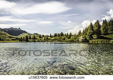 Stock Photography - Sun rising over grassy rural hillside. Fotosearch