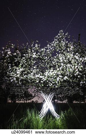Time lapse view of x by trees View Large Photo Image Stock Image - Time lapse view of x by trees. Fotosearch