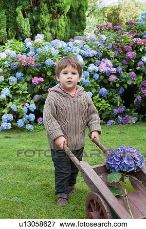 Stock Photo - Toddler boy with wheelbarrow of flowers. Fotosearch