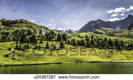 Stock Photo - Trees and lake in grassy rural landscape. Fotosearch