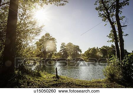 Trees growing by rural lake View Large Photo Image Stock Image - Trees growing by rural lake. Fotosearch
