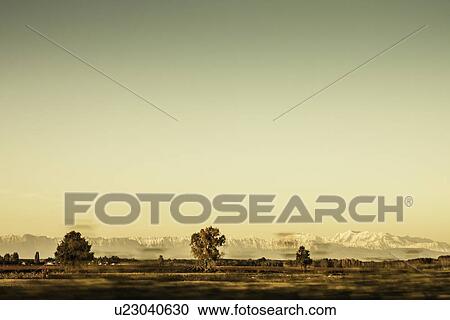 Stock Image - Trees growing in rural landscape. Fotosearch