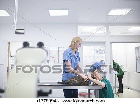 Stock Image - Veterinarian and nurse examining cat. Fotosearch