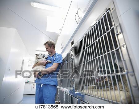 Stock Photography - Veterinarian hugging dog in kennel. Fotosearch