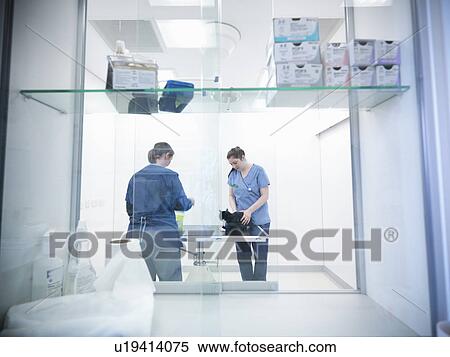 Stock Photography - Veterinarians examining cat in office. Fotosearch