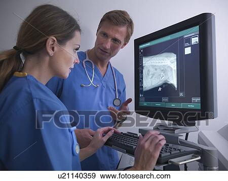 Stock Photo - Veterinarians examining x-ray. Fotosearch