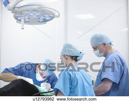 Stock Image - Veterinarians operating on dog. Fotosearch
