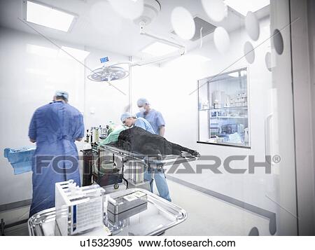 Stock Photography - Veterinarians operating on dog. Fotosearch