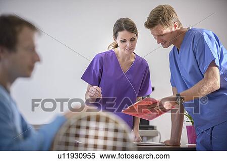 Veterinarians reading medical chart View Large Photo Image Stock Photography - Veterinarians reading medical chart. Fotosearch