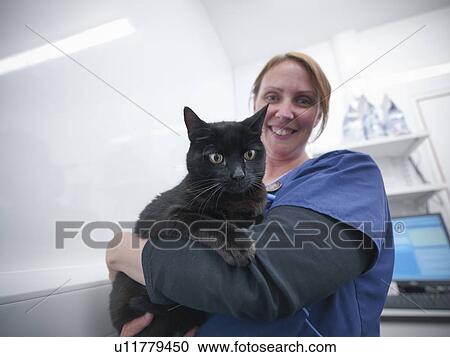 Veterinary nurse holding cat View Large Photo Image Stock Image - Veterinary nurse holding cat. Fotosearch
