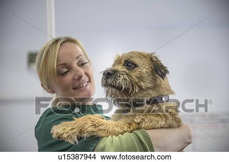 Picture - Veterinary nurse holding dog in office. Fotosearch