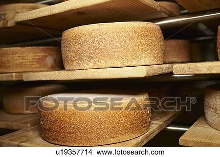 Picture - Wheels of cheese aging in shop. Fotosearch