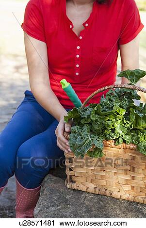 Woman carrying basket of vegetables View Large Photo Image Stock Image - Woman carrying basket of vegetables. Fotosearch