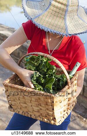 Woman carrying basket of vegetables View Large Photo Image Stock Photo - Woman carrying basket of vegetables. Fotosearch