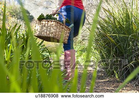 Stock Photo - Woman carrying basket of vegetables. Fotosearch