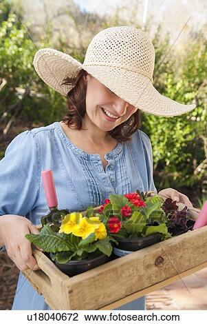 Woman carrying wooden box of flowers View Large Photo Image Stock Image - Woman carrying wooden box of flowers. Fotosearch