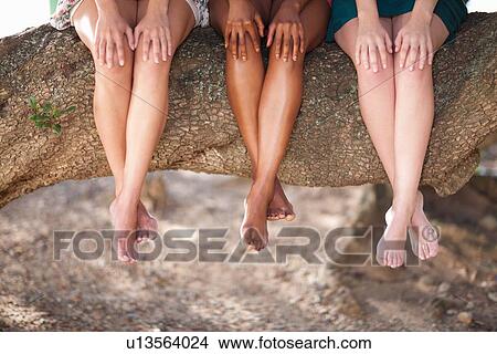 Picture - Women sitting on a tree branch. Fotosearch