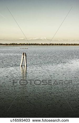 Wooden poles in rural lake View Large Photo Image Stock Image - Wooden poles in rural lake. Fotosearch