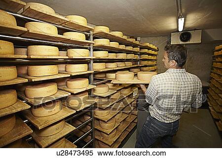 Stock Photography - Worker aging wheels of cheese. Fotosearch