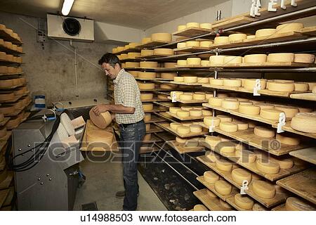 Worker finishing wheel of cheese in shop View Large Photo Image Stock Image - Worker finishing wheel of cheese in shop. Fotosearch