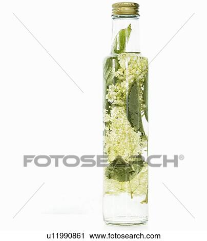 Bottle of herbed olive oil View Large Photo Image Stock Image - Bottle of herbed olive oil. Fotosearch