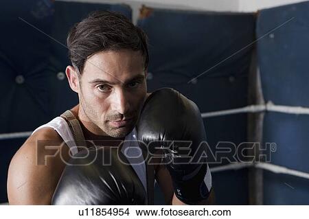 Boxer with raised fists in ring View Large Photo Image Picture - Boxer with raised fists in ring. Fotosearch
