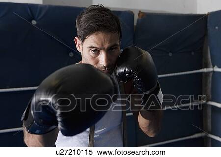 Boxer with raised fists in ring View Large Photo Image Stock Photography - Boxer with raised fists in ring. Fotosearch