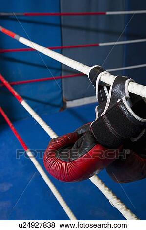 Stock Photo - Boxing gloves hanging on ropes of ring. Fotosearch