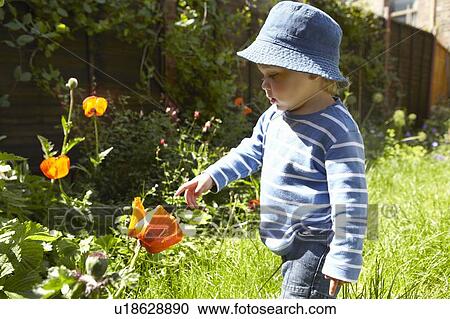 Boys examining flowers in garden View Large Photo Image Stock Image - Boys examining flowers in garden. Fotosearch