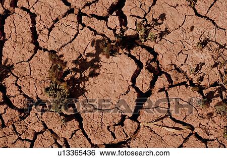 Close up of cracked dry earth View Large Photo Image Stock Photograph - Close up of cracked dry earth. Fotosearch