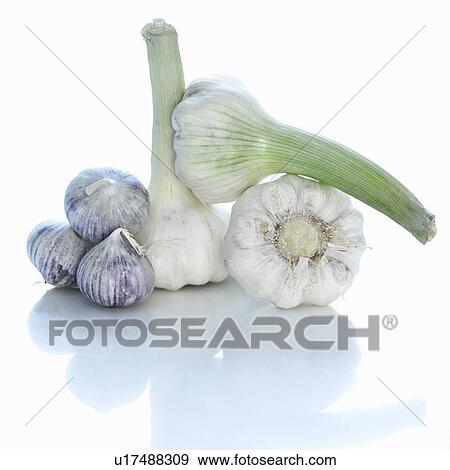 Close up of garlic bulbs View Large Photo Image Stock Photo - Close up of garlic bulbs. Fotosearch