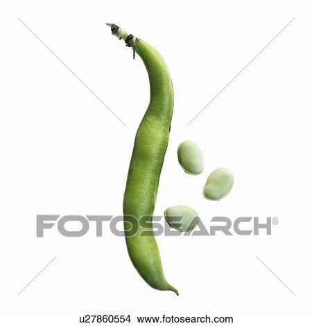 Picture - Close up of peas and pod. Fotosearch