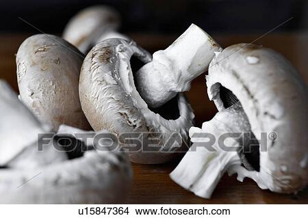 Close up of raw mushrooms View Large Photo Image Picture - Close up of raw mushrooms. Fotosearch
