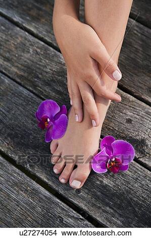 Close up of womans foot with flowers View Large Photo Image Picture - Close up of womans foot with flowers. Fotosearch