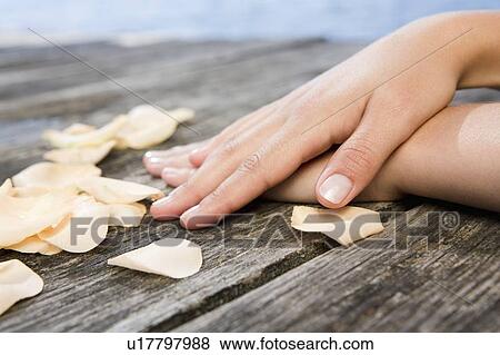 Stock Photo - Close up of womans hands and petals. Fotosearch