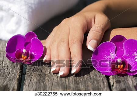 Close up of womans nails and orchids View Large Photo Image Stock Photography - Close up of womans nails and orchids. Fotosearch