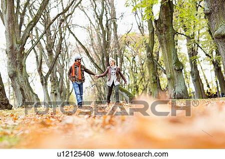 Couple holding hands in forest View Large Photo Image Stock Photo - Couple holding hands in forest. Fotosearch