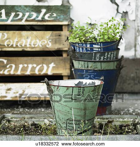 Decorative pails in garden View Large Photo Image Stock Image - Decorative pails in garden. Fotosearch