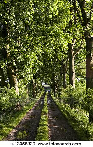 Stock Photo - Dirt path in rural landscape. Fotosearch