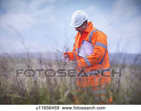 Stock Photo - Ecologist examining tall grass. Fotosearch