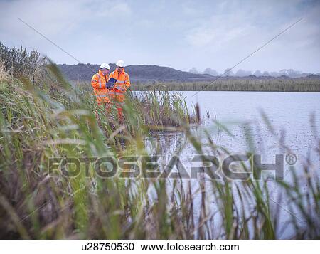 Stock Image - Ecologists examining reeds and lake. Fotosearch