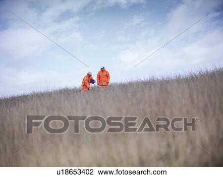 Ecologists examining tall grass View Large Photo Image Stock Image - Ecologists examining tall grass. Fotosearch