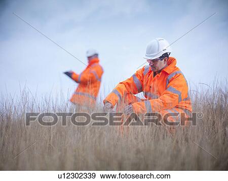Ecologists examining tall grass View Large Photo Image Stock Photo - Ecologists examining tall grass. Fotosearch