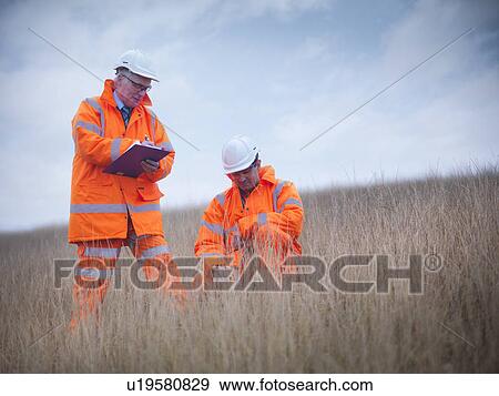 Ecologists examining tall grass View Large Photo Image Stock Photo - Ecologists examining tall grass. Fotosearch