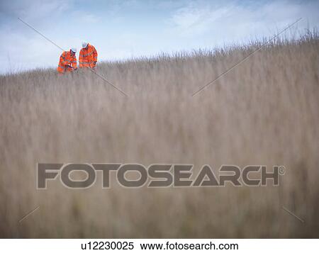 Ecologists examining tall grass View Large Photo Image Stock Photography - Ecologists examining tall grass. Fotosearch