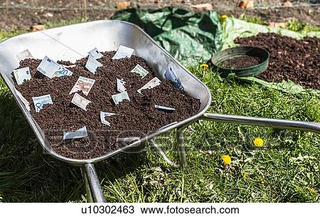 Euro notes in wheelbarrow of dirt View Large Photo Image Stock Image - Euro notes in wheelbarrow of dirt. Fotosearch