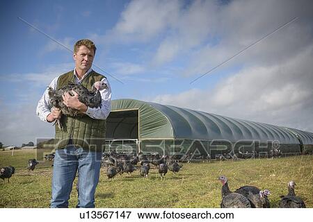 Stock Photo - Farmer holding free range turkey. Fotosearch
